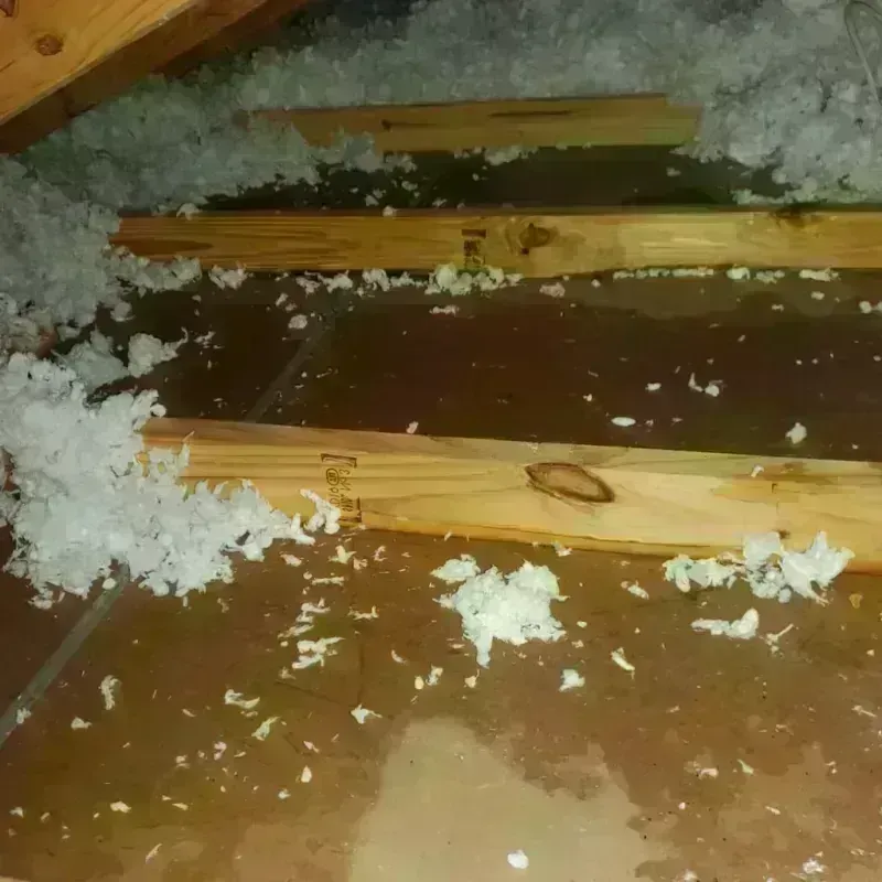 Attic Water Damage in Bullitt County, KY