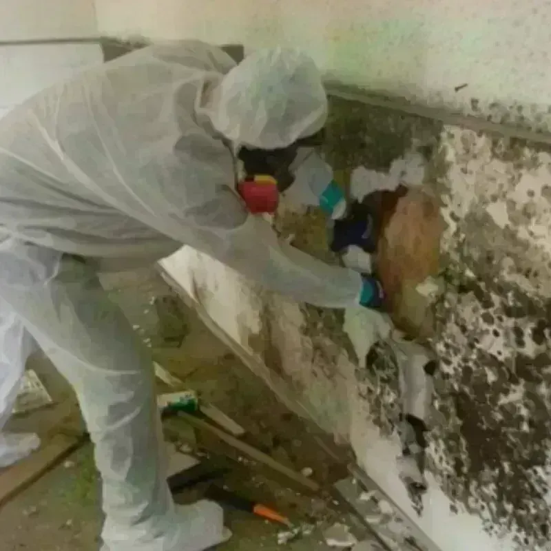 Mold Remediation and Removal in Bullitt County, KY