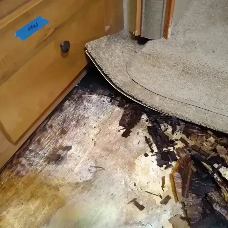 Best Wood Floor Water Damage Service in Bullitt County, KY